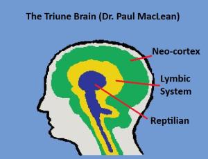 Triune-Brain1-McClean